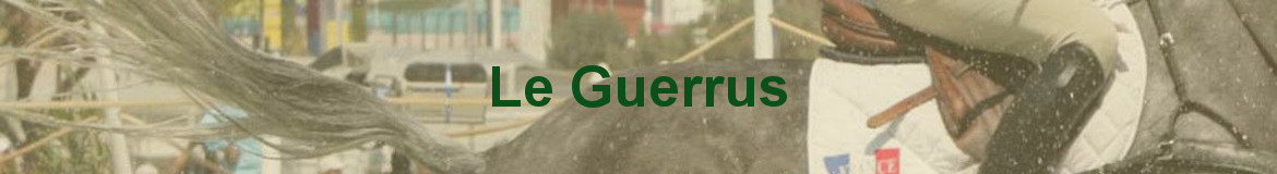 Le Guerrus